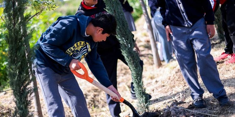 Realizan en San Andrés Cholula jornada de reforestación en la inspectoría Emiliano Zapata