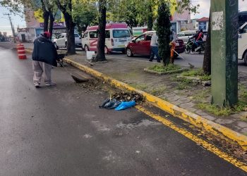 Interviene gobierno de la Ciudad más de 16 millones de metros cuadrados de camellones