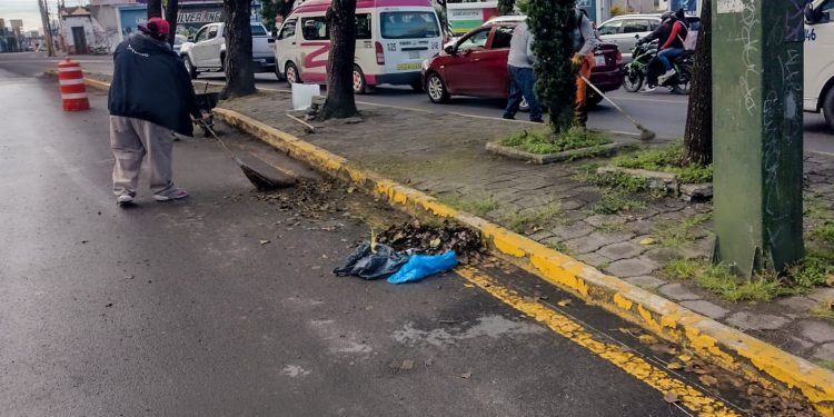 Interviene gobierno de la Ciudad más de 16 millones de metros cuadrados de camellones
