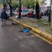 Interviene gobierno de la Ciudad más de 16 millones de metros cuadrados de camellones