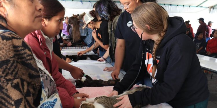 Gobierno de la Ciudad fortalece el bienestar animal con más de 18 mil esterilizaciones gratuitas en Puebla