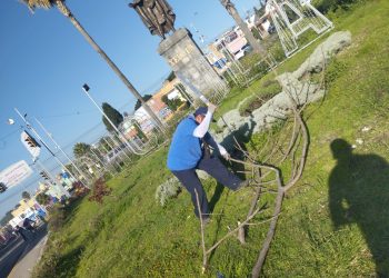 San Pedro Cholula realiza mejoramiento en Parques y jardines