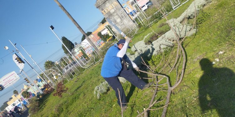 San Pedro Cholula realiza mejoramiento en Parques y jardines