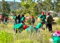 Impulsa Gobierno de la Ciudad restauración del Cerro de Amalucan con “Raíces del Futuro”