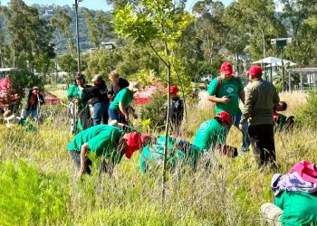 Impulsa Gobierno de la Ciudad restauración del Cerro de Amalucan con “Raíces del Futuro”