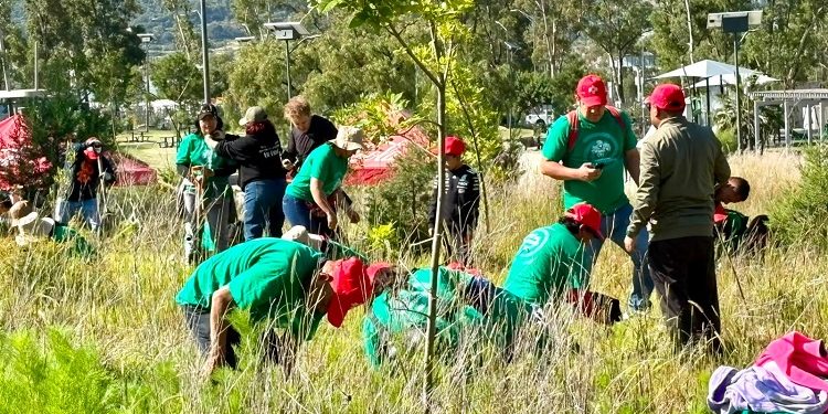 Impulsa Gobierno de la Ciudad restauración del Cerro de Amalucan con “Raíces del Futuro”