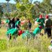 Impulsa Gobierno de la Ciudad restauración del Cerro de Amalucan con “Raíces del Futuro”