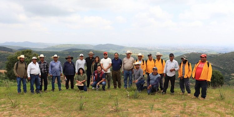 Gobierno de la Ciudad fortalece la conservación forestal en Puebla con 16 nuevas ollas de captación de agua pluvial