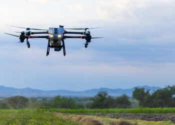 Drones agrícolas atienden de forma oportuna 60 hectáreas de caña en Tepeojuma