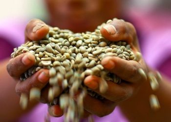 El clima y la producción concentrada disparan la volatilidad de los precios del café, el cacao y el té