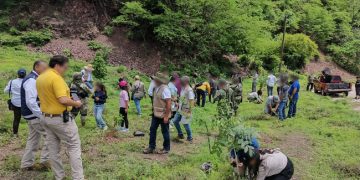 Profepa participa en jornadas de reforestación con la siembra casi 35 mil árboles