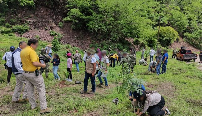 Profepa participa en jornadas de reforestación con la siembra casi 35 mil árboles