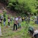 Profepa participa en jornadas de reforestación con la siembra casi 35 mil árboles
