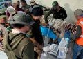Profepa clausura establecimiento privado tras el escape de un tigre de Bengala en el Estado de México