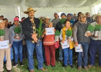 Respalda gobierno estatal nuevo patrimonio natural de 626 mil árboles en Zacatlán