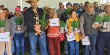 Respalda gobierno estatal nuevo patrimonio natural de 626 mil árboles en Zacatlán