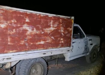 Recupera Policía Estatal 165 ejemplares de oyamel