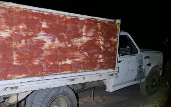 Recupera Policía Estatal 165 ejemplares de oyamel