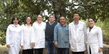 Crean nanomateriales en la BUAP para combatir plagas por gusano barrenador