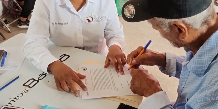 Restauran 382 hectáreas en las cuencas de Río Duero y Sierra en Michoacán