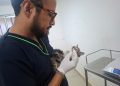 SEDIF resguarda a familia felina y protege aves en Parque del Arte