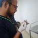 SEDIF resguarda a familia felina y protege aves en Parque del Arte