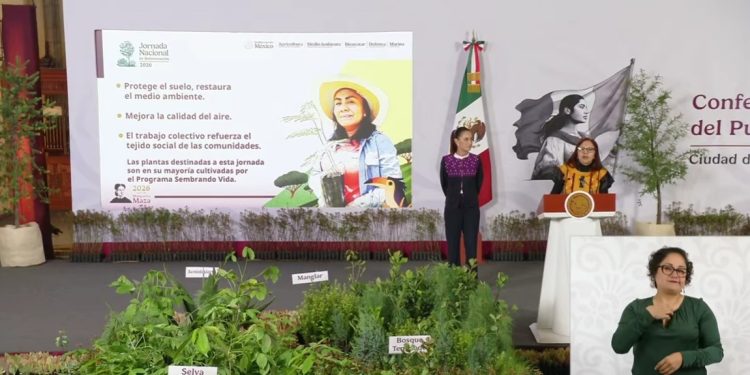 Desde puebla, la presidenta Claudia Sheinbaum arrancará la Jornada Nacional de Reforestación