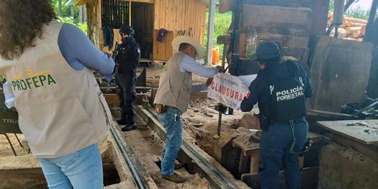 En distintas intervenciones, SSP realizó acciones para la preservación del patrimonio natural