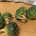 En paquetería de San Luis Potosí, aseguramos once ejemplares de vida silvestre