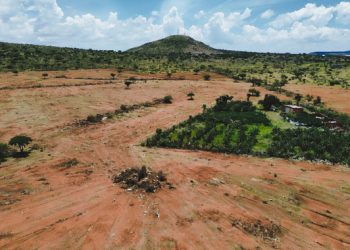 Profepa frena cambio ilegal de uso de suelo en terrenos forestales en Trancoso, Zacatecas