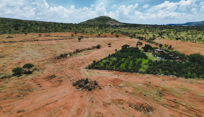Profepa frena cambio ilegal de uso de suelo en terrenos forestales en Trancoso, Zacatecas