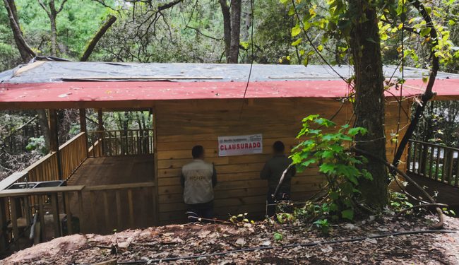 Profepa detecta construcción ilegal de cabaña en Reserva de la Biosfera Sierra de Manantlán, en Colima
