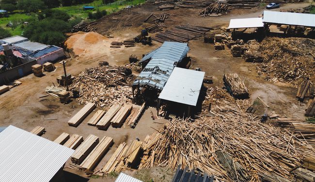 Golpe a la tala ilegal: aseguran más de 3 mil m³ de madera en el tercer multioperativo forestal