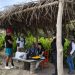 Profepa realiza operativo de vigilancia en playas de Veracruz
