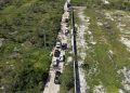 Clausuran 17 polígonos por cambio ilegal de uso de suelo en Reserva de la Biosfera Ría Celestún, en Yucatán