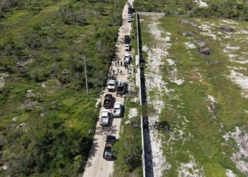 Clausuran 17 polígonos por cambio ilegal de uso de suelo en Reserva de la Biosfera Ría Celestún, en Yucatán