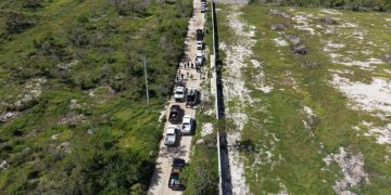Clausuran 17 polígonos por cambio ilegal de uso de suelo en Reserva de la Biosfera Ría Celestún, en Yucatán
