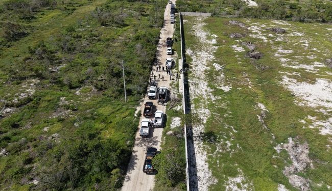Clausuran 17 polígonos por cambio ilegal de uso de suelo en Reserva de la Biosfera Ría Celestún, en Yucatán