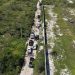 Clausuran 17 polígonos por cambio ilegal de uso de suelo en Reserva de la Biosfera Ría Celestún, en Yucatán