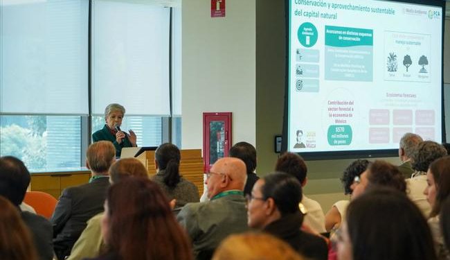 “Tenemos que pasar de las buenas intenciones a la restauración de los ecosistemas”: Alicia Bárcena