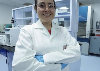 Crean investigadoras del IPN parches personalizados para cicatrizar heridas de difícil tratamiento