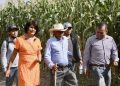Producen estudiantes de la UTH catorce toneladas de maíz