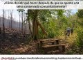 Especialista sugiere abordaje transdisciplinario para la regeneración forestal
