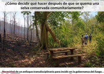 Especialista sugiere abordaje transdisciplinario para la regeneración forestal