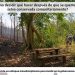 Especialista sugiere abordaje transdisciplinario para la regeneración forestal
