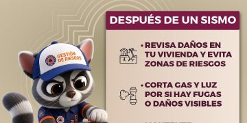 Borrador automático
