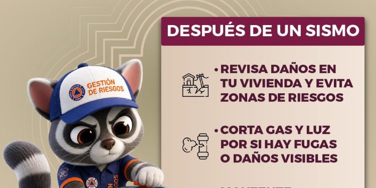 Borrador automático