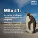 ¡Desmintamos mitos comunes sobre el clima!