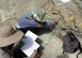 Investigadores BUAP registran nuevas huellas de dinosaurio en Puebla
