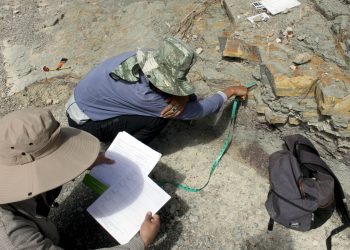 Investigadores BUAP registran nuevas huellas de dinosaurio en Puebla